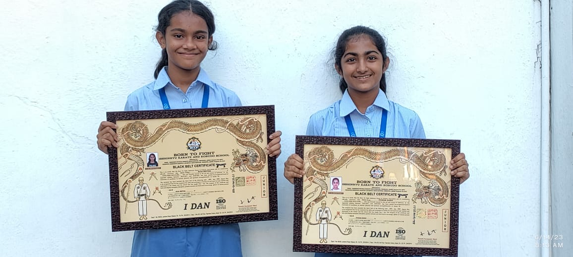 DAN 1 – Born to Fight